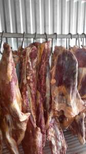 �������� ���������� � ��������� ���� �������� ������� �����, 1 �����, 2 ����� � ������, �������� �������, �������������� (���� - ����������� 1