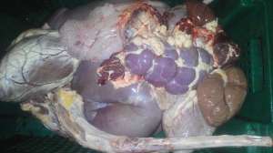 �������� ���������� � ��������� ���� �������� ������� �����, 1 �����, 2 ����� � ������, �������� �������, �������������� (���� - ����������� 1