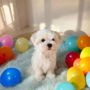 �������� ���������� ������� (��������): ��������� ��������� ���� ���� �� ���! - ����������� 1