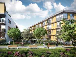 �������� ����������� � �����, ���� 2017 - ����������� 1