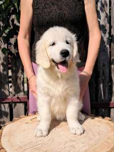 �������� ����������� �������� Ot Bahur. - ����������� 1