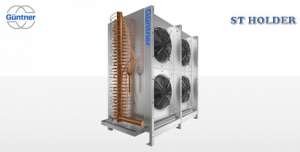 ��������, �����������, ����������������� GUNTNER - ����������� 1