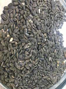 �������� ������������ ������� ������ 2018 ���� - ����������� 1