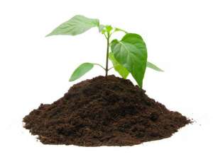 �������� ������������� ��������. ������ ����,����������������� - ����������� 1