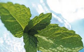 ��������� (Calmiskin) 10 �� - ����������� 1