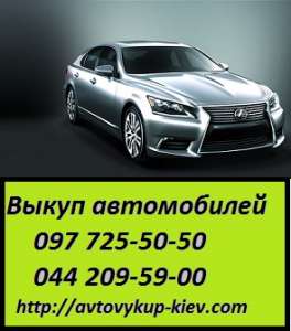 ��������� - ����������� 1