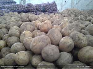 ��������� - ����������� 1