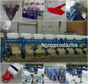 ���-������ � ����� � �������� �������� � ��� ������� �������. - ����������� 1