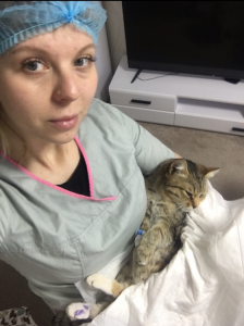 ��������� �� ��� � �������� - ����������� 1