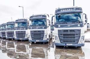 ��������� �� ������ ���� ������� �+� ��� ���������� ���������� - ����������� 1