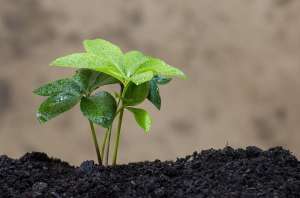 ��������� �� ������ �����. ������� "B&S Product" - ����������� 1