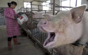 ��������� �� ���������� �����. - ����������� 1