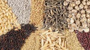 ��������� �� ����������� ��� ������ - ����������� 1