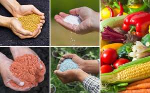 ��������� ��� ���� � �������. ���� ����� "B&S Product" - ����������� 1