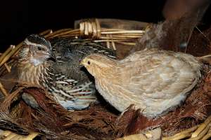 ��������� ��� ��������� � ����� - ����������� 1