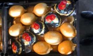 ��������� ����, ������ ������ �������� ������ - ����������� 1