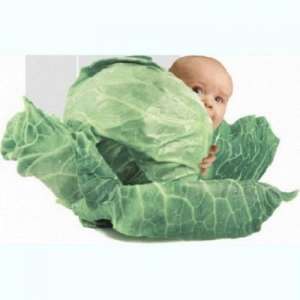 ��������� ���� ������ ��������� �� ���������� ��� - ����������� 1