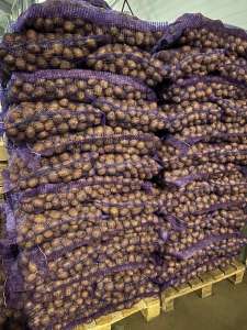 ��������� �����!!! - ����������� 1