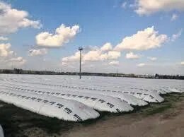 ���������, ����� �/� �/� � ������ ��� ��������� �����, ��������, ����, ��� ������, ������ - ����������� 1