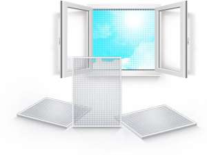 ��������� ����� ���� - ����������� 1