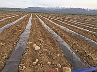 ��������� ����� ����� Vatan Plastik - ����������� 1