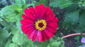 ��������� ����� ��������� ����� - ����������� 1