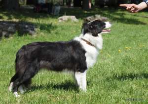 ��������� ����� ������-����� ��� ������. - ����������� 1