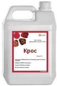 ��������� ����� ����������-������ - ����������� 1