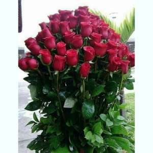 ��������� ������ ��� �������-����� ����� - ����������� 1