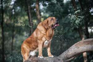 ��������� ������. �����. - ����������� 1