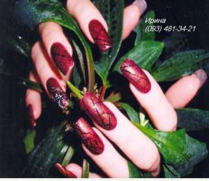 ��������� ������ �������� � ��������. ������. ���� (�����) - ����������� 1