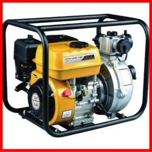 ���������. ������ ��������� Forte � �������. - ����������� 1