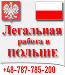 ��������� ������. ��������� ������ � ������ ��� ���������. ��������� � ������, �������� ���������� ������ 2019. ������ �������� - ����������� 1