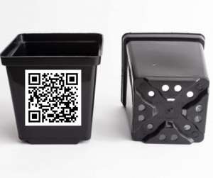 ��������� ������� ��� ���� �� ������� Kloda - ����������� 1