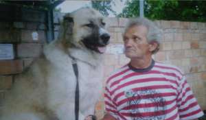 ��������� ������� ��� �������� �������������������� ������� - ����������� 1