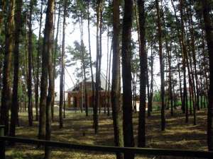 ��������� ������� ����� ��� ��������� � 5 �� �� �� ����� - ����������� 1