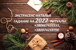 ��������� �������. ������� �� 2022 ���. ������ �����������. - ����������� 1