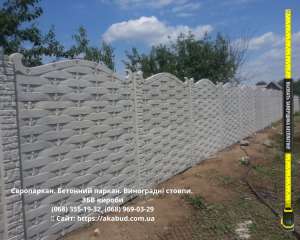 ���������. �������� �����. ����������� ������. ��� ������ - ����������� 1