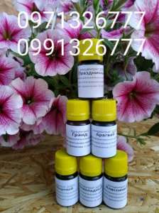 ��������� �������� ������� �� �������� Etol (��������). �������� �������� - ����������� 1