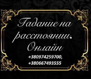 ��������� �������� ��������. ������ ����� ������ ���������. - ����������� 1