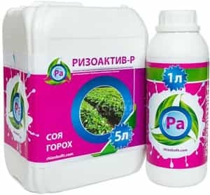 ��������� ��������� - ����������� 1