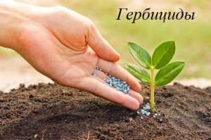 ��������� ��������� ��� �������� � ������������� - ����������� 1