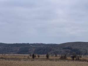 ��������� ��������� ������� � �������� ���������� �����. - ����������� 1