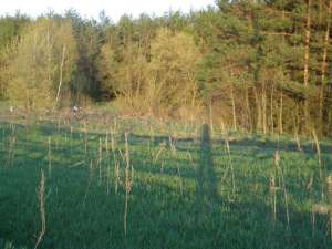 ��������� ���������� ������ � ��������, 17 �����, �� �������� - ����������� 1