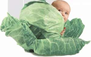 ��������� ����������� ���� � ������ ���������� � ������� �������������� �������� - ����������� 1