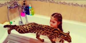 -��������� ����������� ����� - ����������� 1