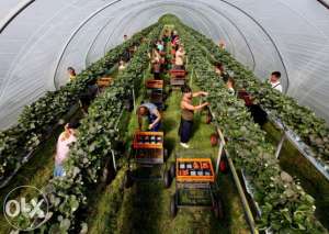 ��������� ������������ � �������� ���� ��� ����� ������ - ����������� 1