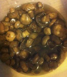 ��������� ������������ ����� - ����������� 1