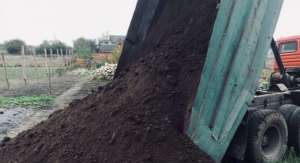 ��������� �����.�������� �����. ��������������� ���������� - ����������� 1