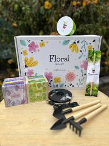 ���-������: ������������ ��������� �� 8 ������� � ��������� ���� �������� - ����������� 1